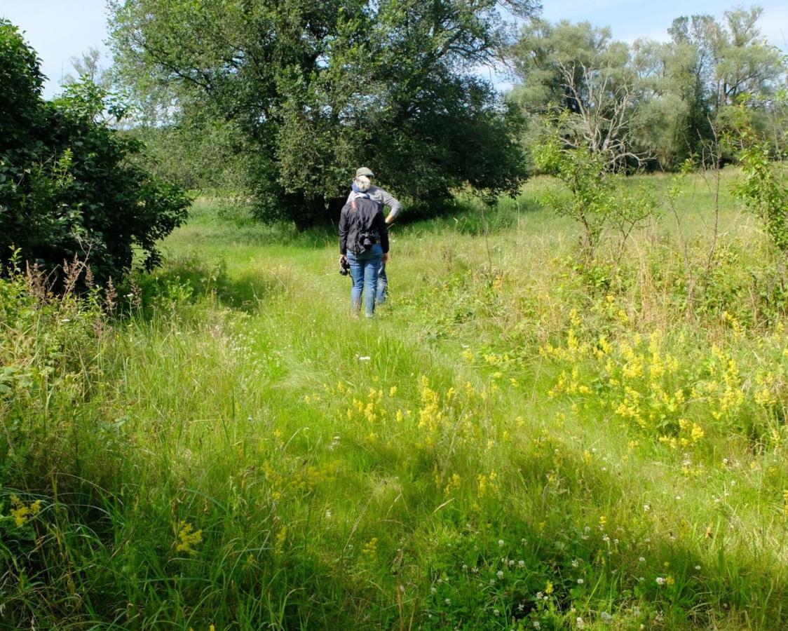 Appartement Botanische Botschaft Strodehne