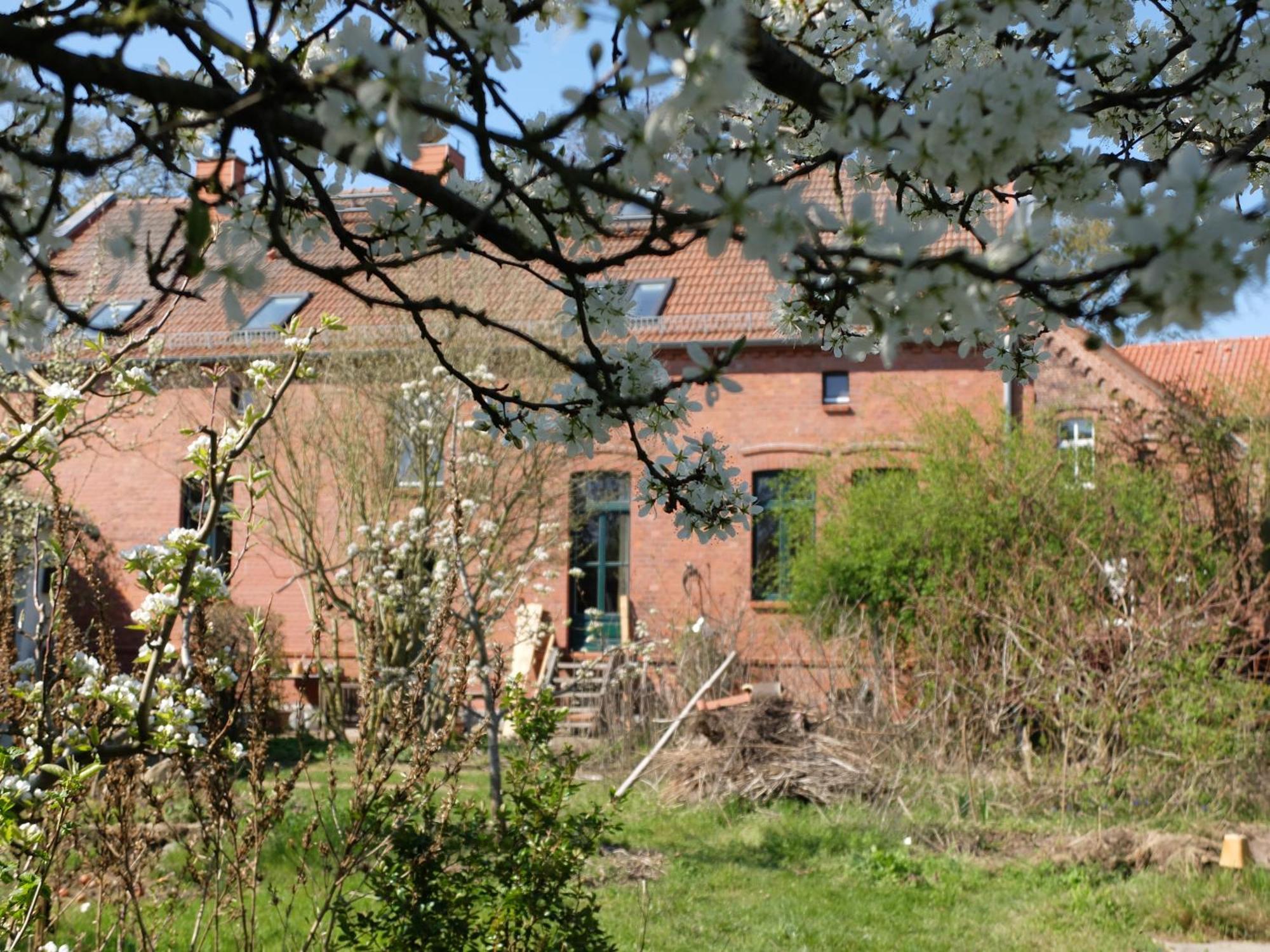 Botanische Botschaft *