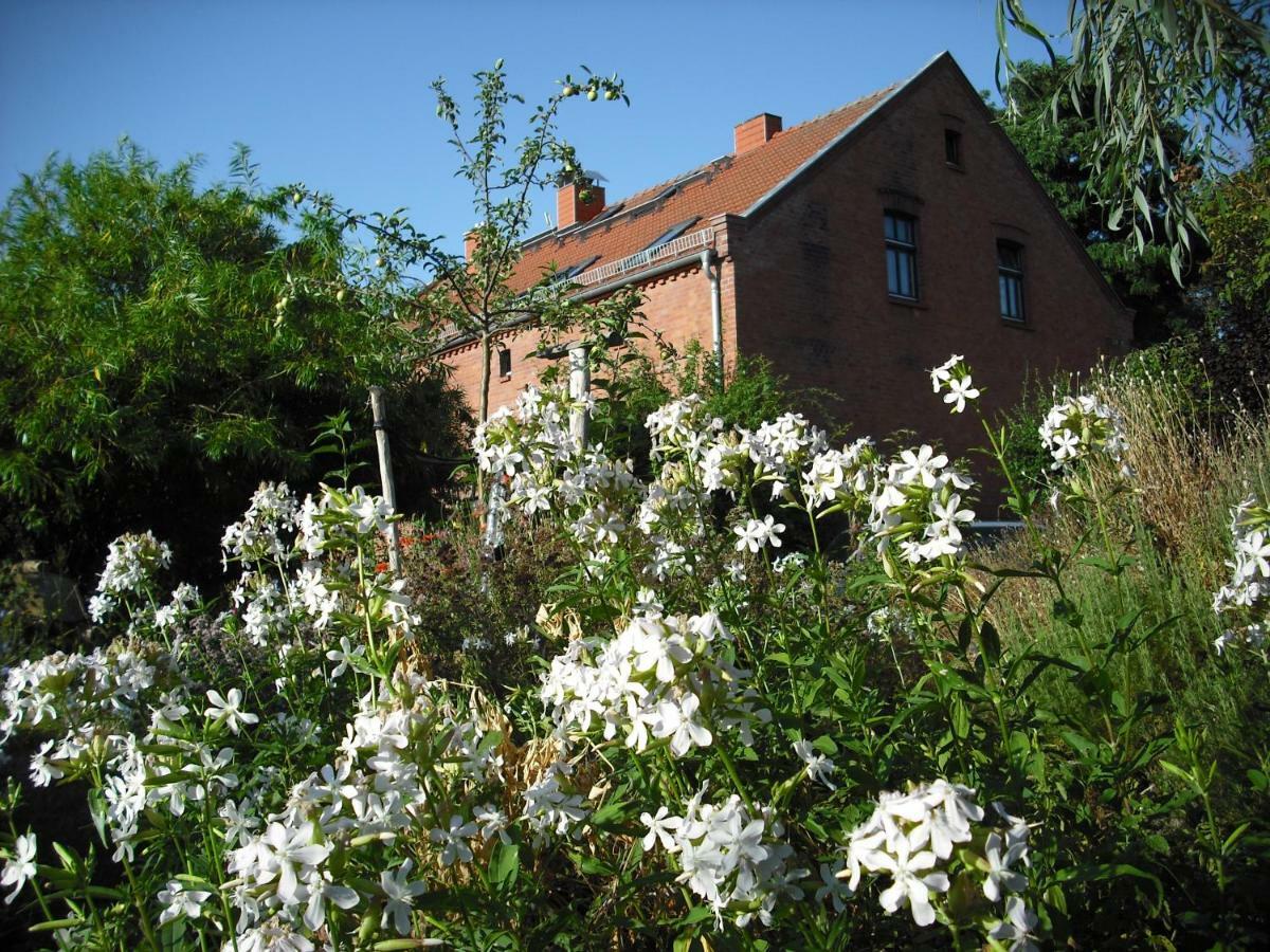 Botanische Botschaft Appartement Strodehne